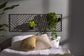 Sprawling Trellis