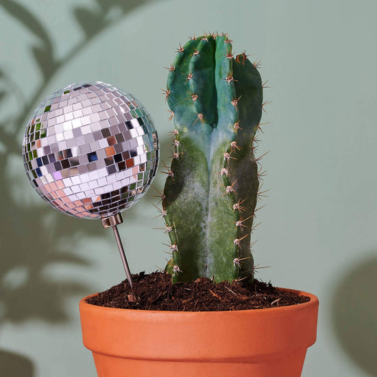 Disco Queen - 4.5" Disco Ball Decorative Plant Stake