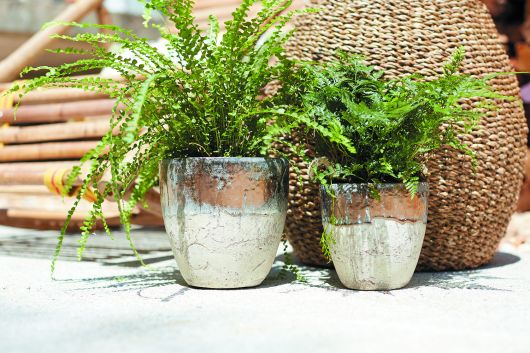 Muriel Pot