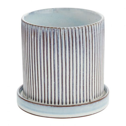 Curio Pot