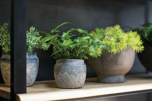 Earthy Pot