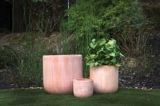Lerato Pot