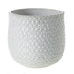 Ginny Pot