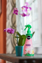 Miracle-Gro® Orchid Plant Food