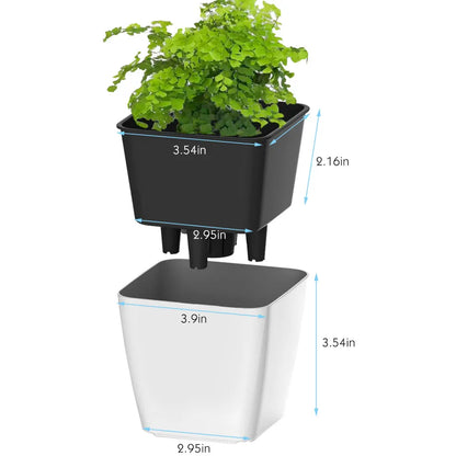 hydroponic self-watering planter Self-Watering Pot – Lost in the Forrest