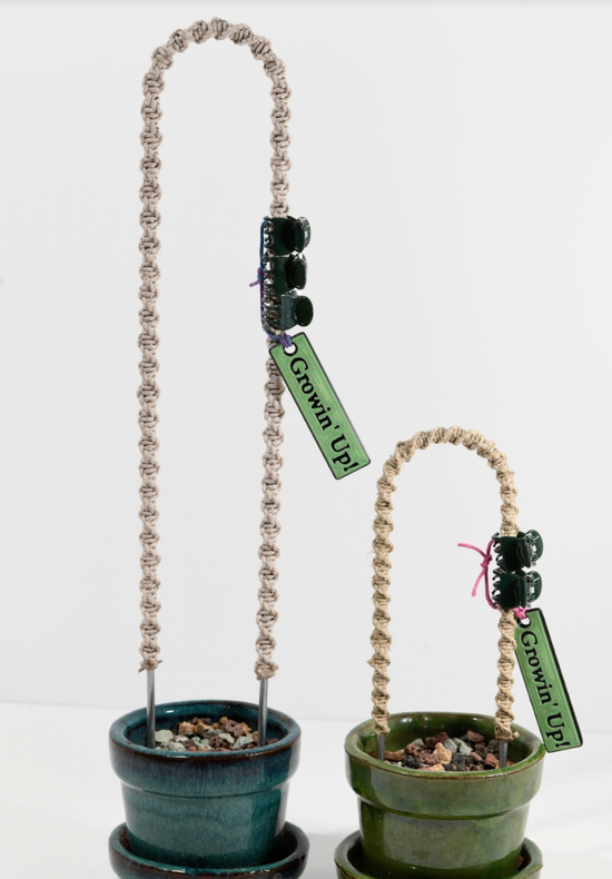 Trellis 6"