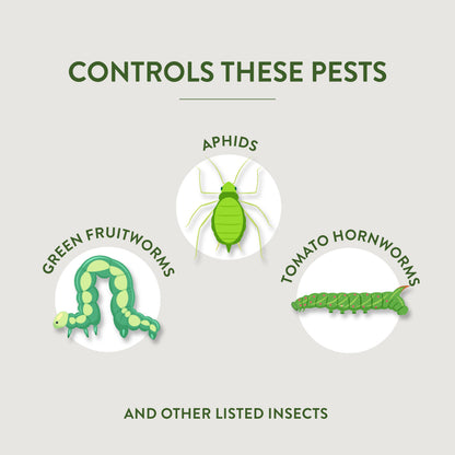 garden safe 80422 houseplant and garden insect killer GardenSafe Houseplant & Garden Insect Killer – Lost in the Forrest