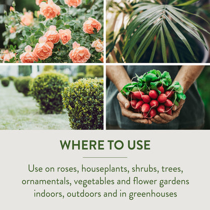 garden safe 80422 houseplant and garden insect killer GardenSafe Houseplant & Garden Insect Killer – Lost in the Forrest