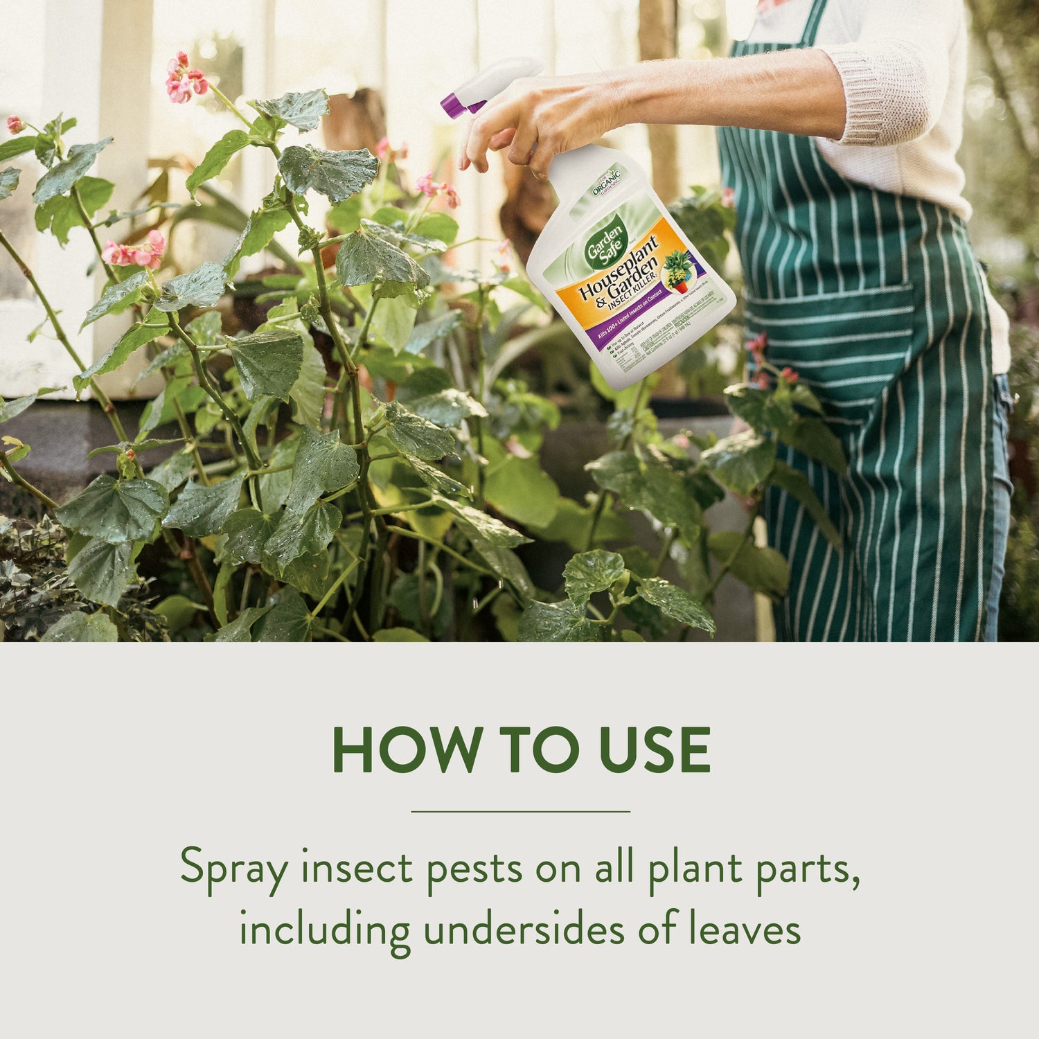 raid house and garden safe for plants GardenSafe Houseplant & Garden Insect Killer – Lost in the Forrest