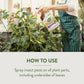 GardenSafe Houseplant & Garden Insect Killer