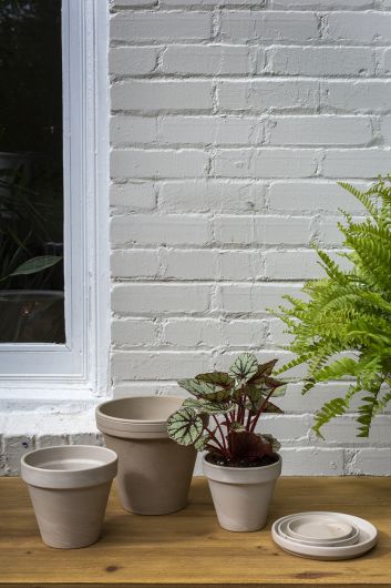 Apollo Pot