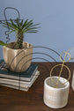 Arc Trellis