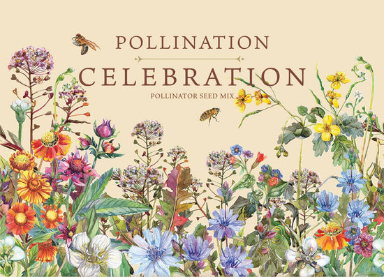 Pollination Celebration - Pollinator Wildflower Mix Seed