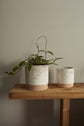 Briar Pot