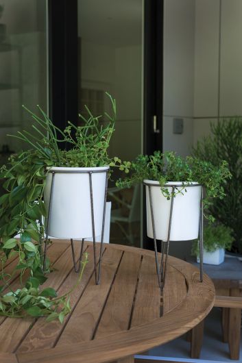 Cassa Pot with Stand