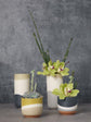 Colorway Pot