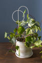 Concentric Trellis