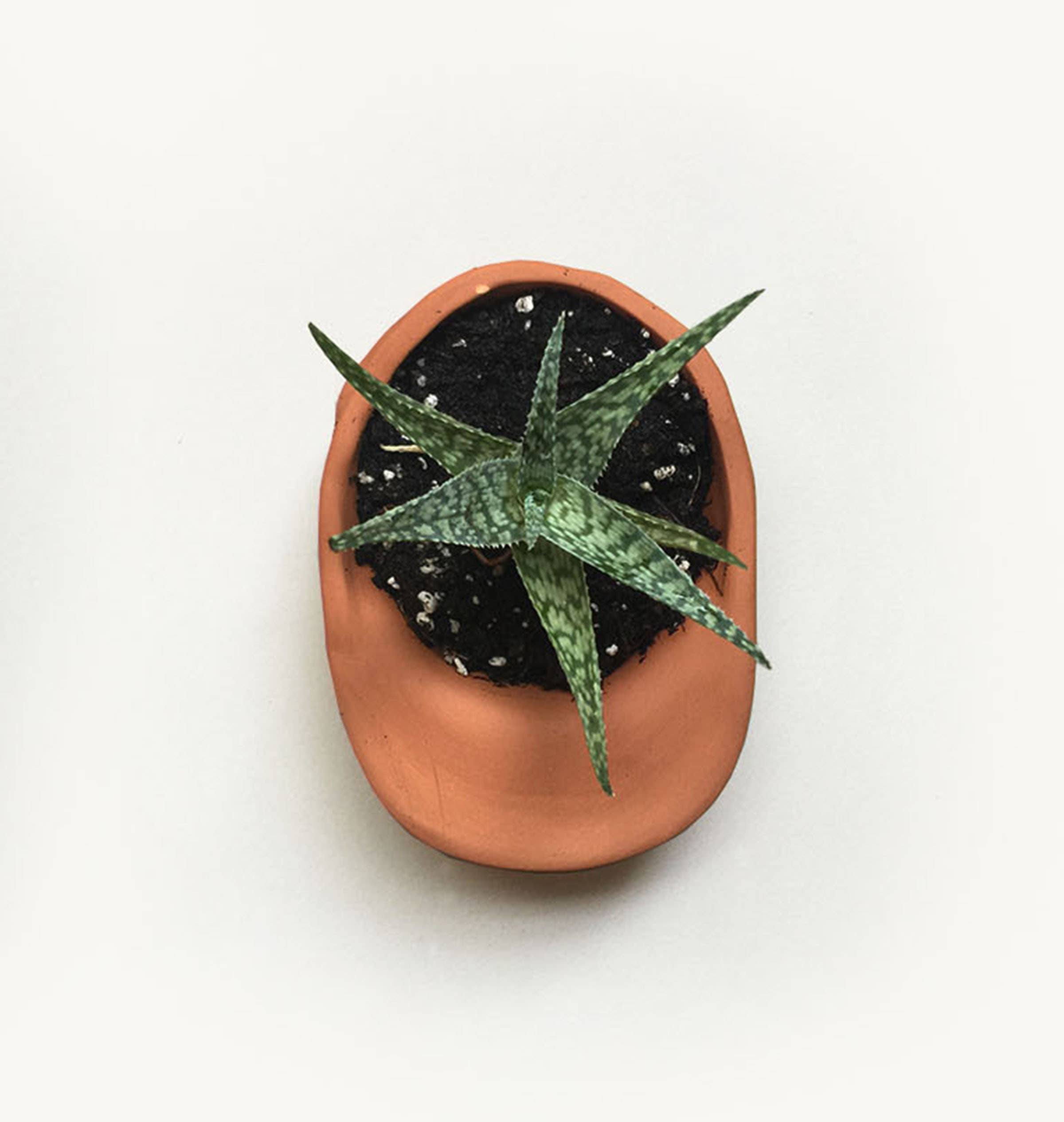 Small Hat Planter