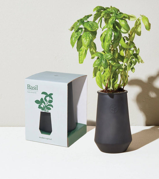 Tapered Tumbler -Basil