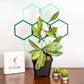 Super Trellis Small Starter Pack