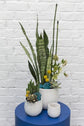 Ginny Pot