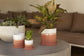 Hadley Pot
