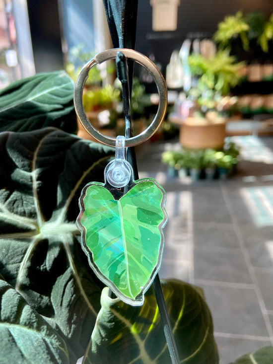 "Philodendron" Keychain