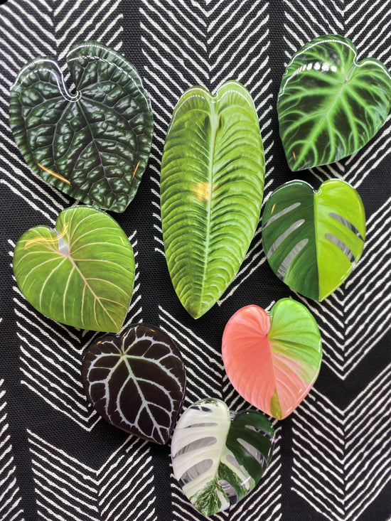 Plant Phone Grips