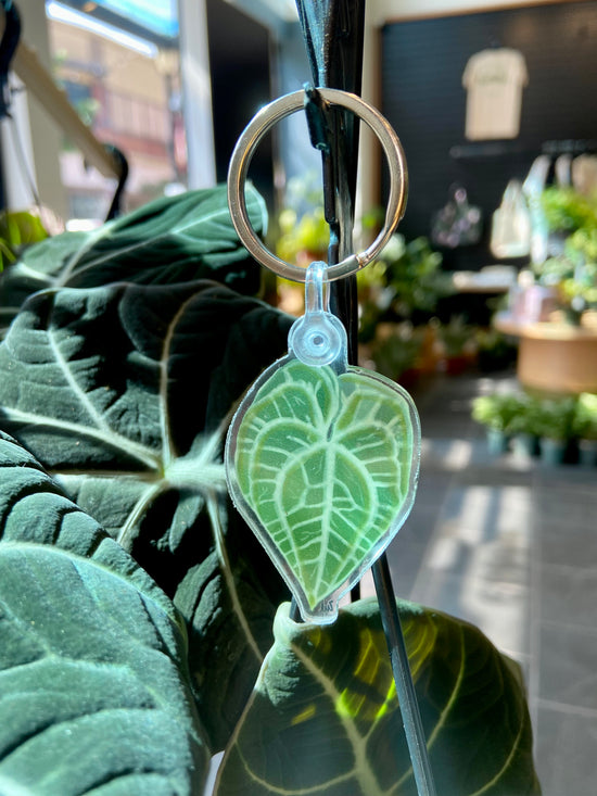 "Anthurium Clarinervium" Keychain