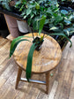 Anthurium Pendens