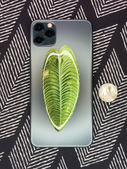 Plant Phone Grips