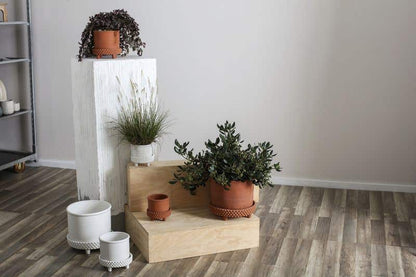 Jane Footed Pot