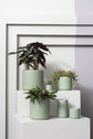 Round Green Pot