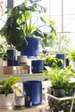 Round Blue Pot