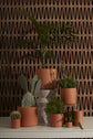Round Terracotta Pot
