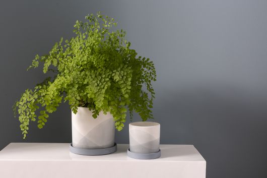 Keppel Pot with Saucer