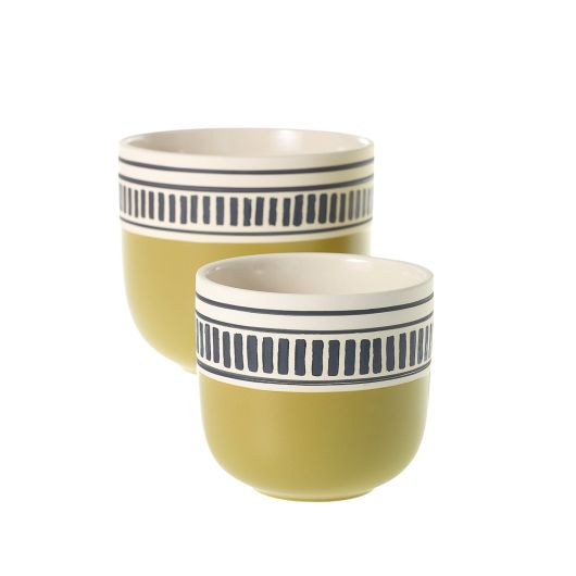 Kiwi Pot