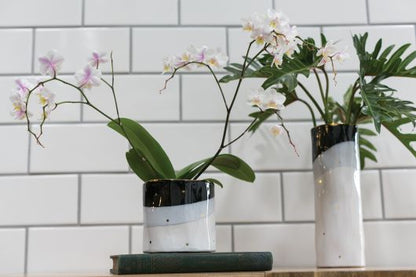 Lottie Dottie Vase