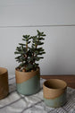Marbella Pot