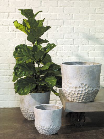 Marx Pot