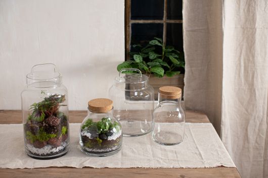 Novalie Jar