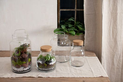 Novalie Jar