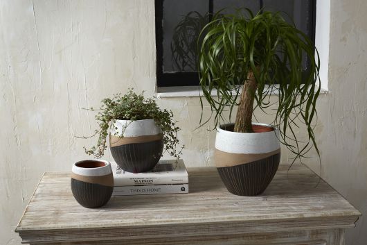 Oco Pot