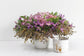 Solange Pot