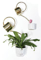 Solange Pot