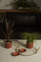 Soluna Collection