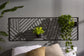 Sprawling Trellis